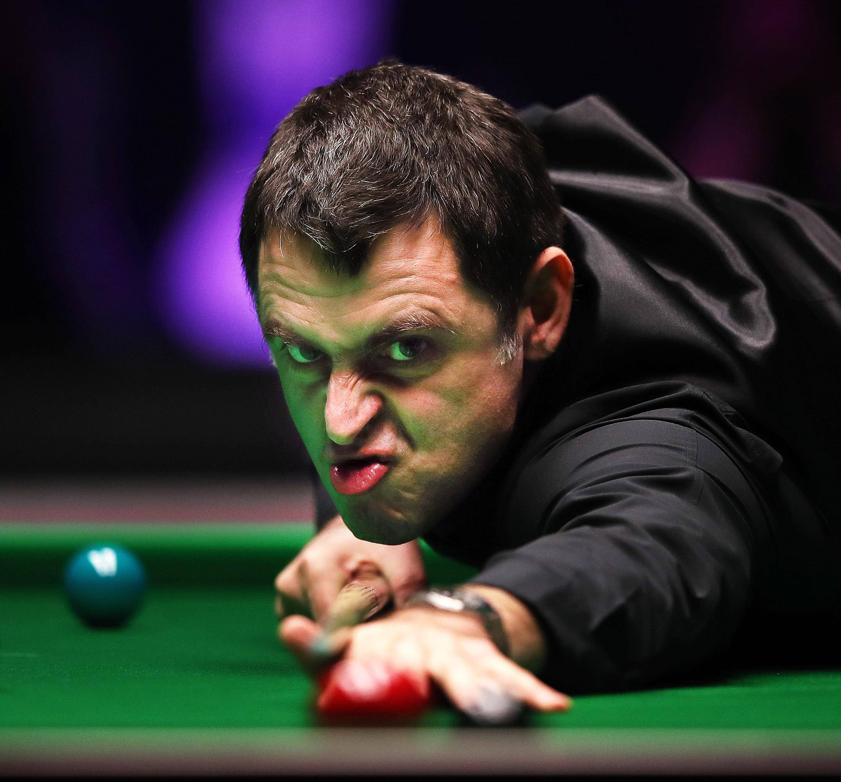 该赛事能举 该赛事能举